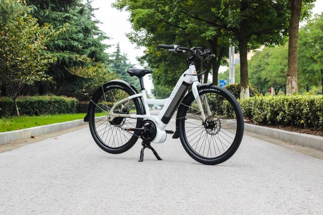Gutes E-Bike unter 2.000 Euro: Worauf achten?