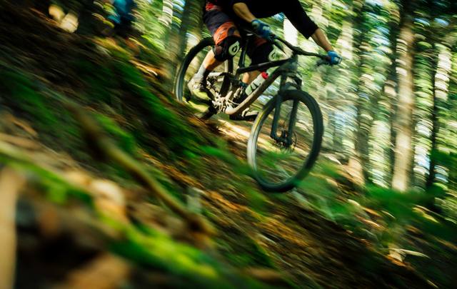 Fahrrad Wartung und Pflege: Der komplette Guide
