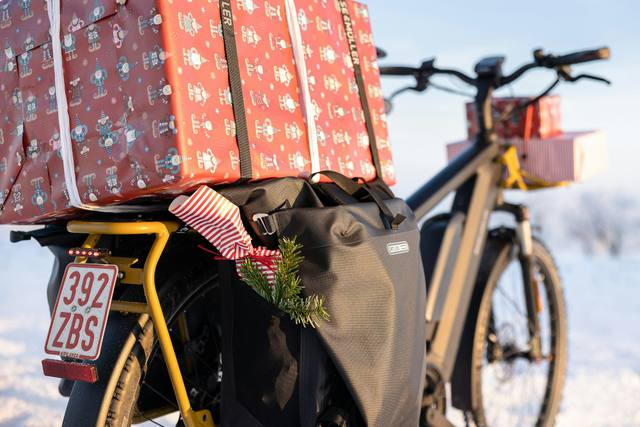 Lastenfahrrad kaufen: Longtail, Long John oder Dreirad?