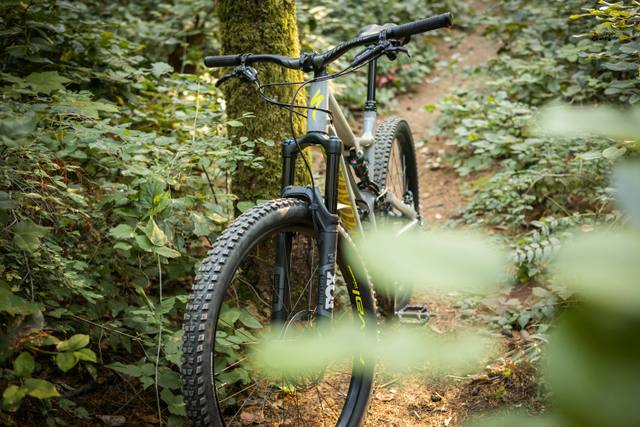 Light-E-MTB oder Full-Power?