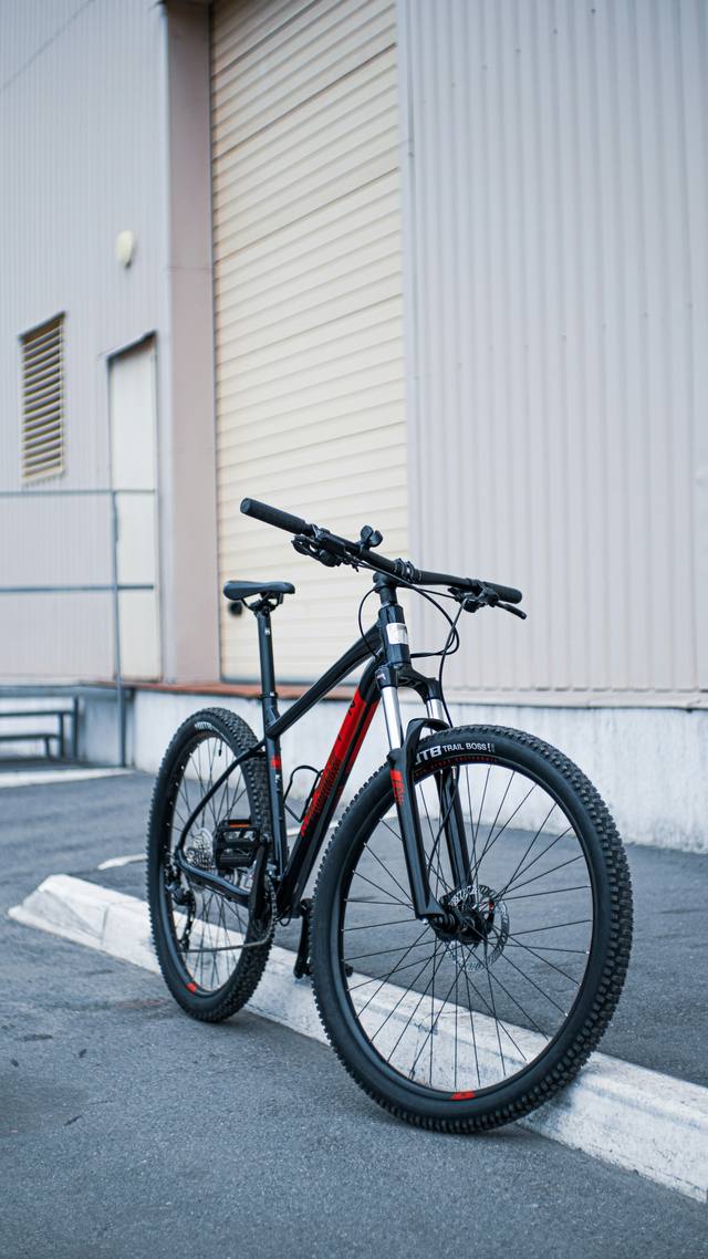 Longtail vs Long John: Der Fahrverhalten-Vergleich
