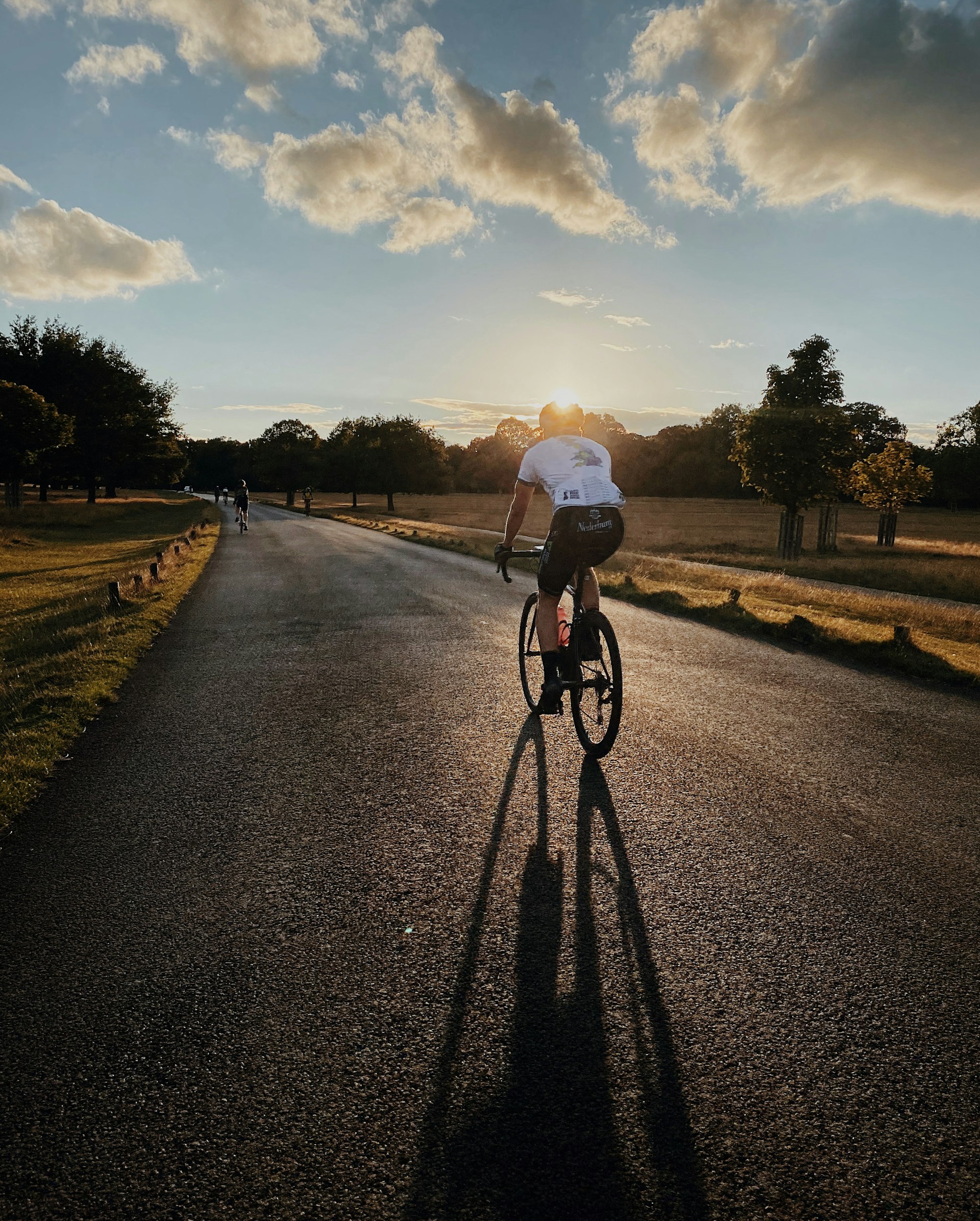 Trekkingrad, Citybike oder Crossbike – Ausstattung und Einsatzzweck entscheiden, nicht die Optik.
